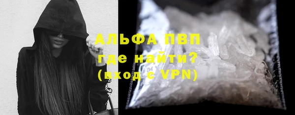 стаф Тобольск