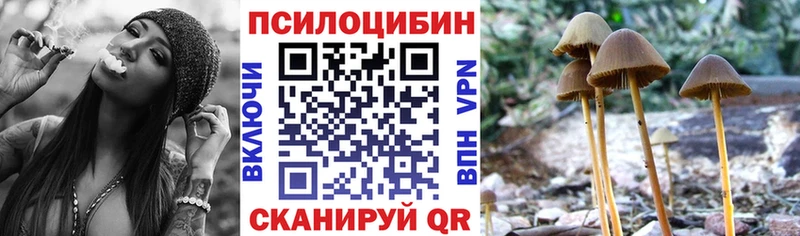 Галлюциногенные грибы GOLDEN TEACHER  Коркино 